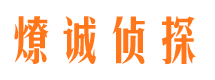 盐津市侦探调查公司